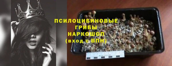 прущие крисы Алзамай