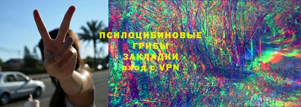дурь Алексеевка