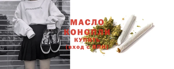 тгк Сатка