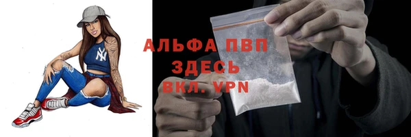 стафф Алексин