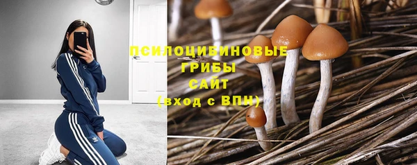 прущие крисы Алзамай