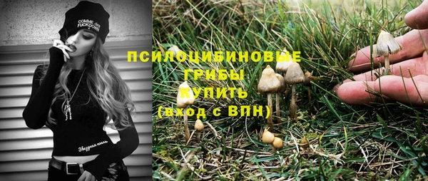 стафф Алексин